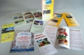 Flyer 1